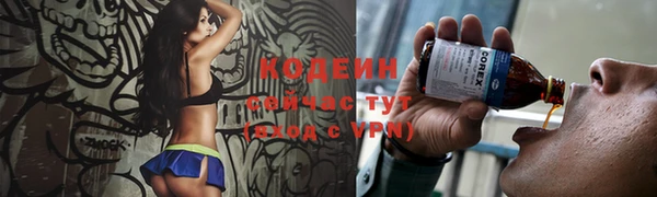 трава Богородицк