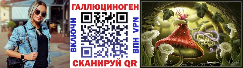Купить где Невельск Галлюциногенные грибы GOLDEN TEACHER